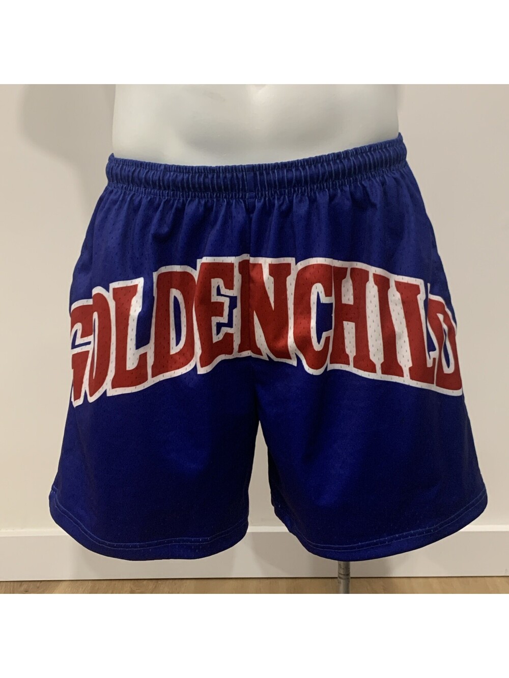 NWT Y2K Golden Child Mesh Basketball Shorts Men’s L Blue